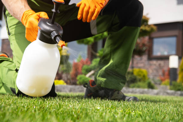 Reliable Yadkinville, NC Pest Control Solutions