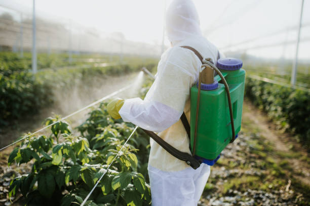 Wildlife Control Services in Yadkinville, NC